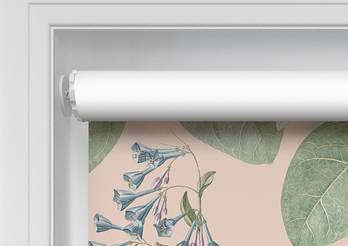 Parrot, Peach Ice - Twist&Fit Roller Blind - Image 10